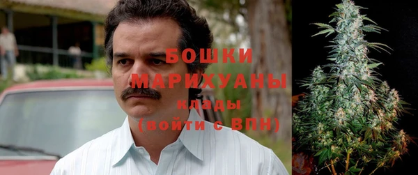 ГАЛЛЮЦИНОГЕННЫЕ ГРИБЫ Алексеевка