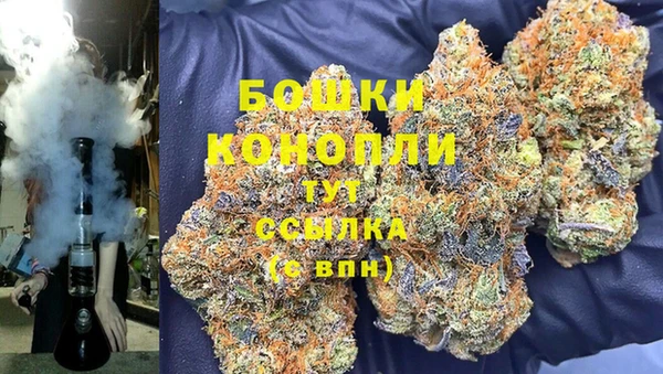 ГАЛЛЮЦИНОГЕННЫЕ ГРИБЫ Алексеевка