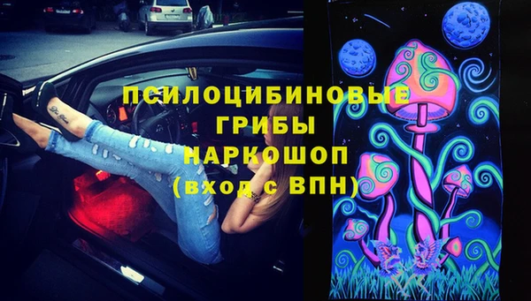 спайс Алексин