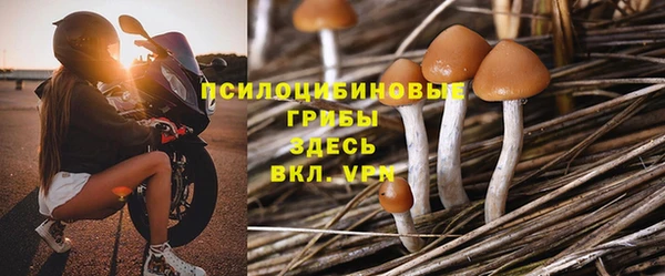 гашик Алзамай